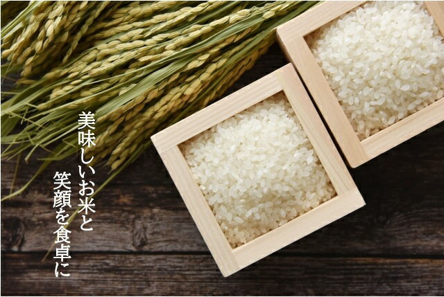 宮城県産「ひとめぼれ」 粘りの強さと飽きのこない甘み しっかりと粒感があり、もっちりとした食感とびきりの「ひとめぼれ」をお届けします　令和6年産 ひとめぼれ 5 kg × 6 袋 30 kg 宮城県産【月間優良ショップ受賞】 【送料無料】 白米 精米 宮城のお米