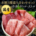\ネギトロおまけ!!/ 純国産 本マグロ 三種 盛り合わせ セット【赤身 中トロ 大トロ】130g盛り まぐろ マグロ 本まぐろ 本鮪 鮪 中とろ 大とろ トロ...