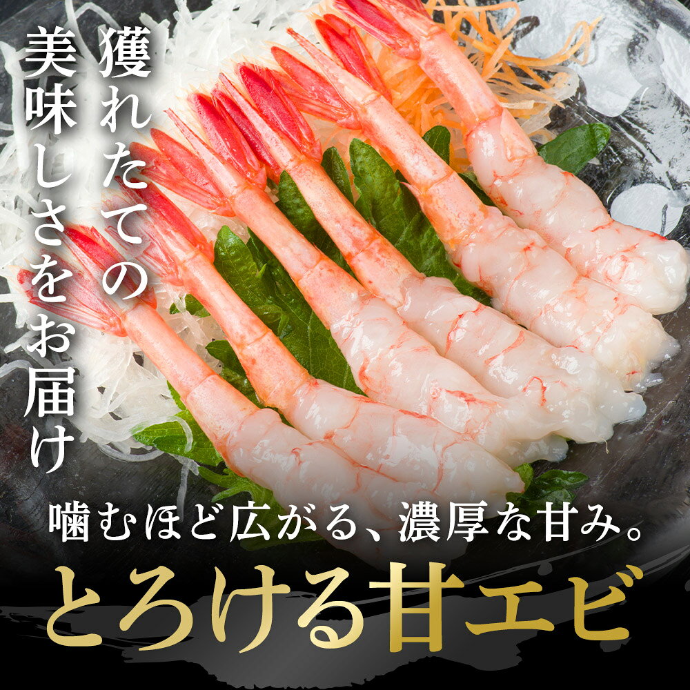 ギフト 送料無料 鮮度抜群 あまえび 甘エビ 1kg （約60尾入れ） お刺身用 甘海老 海老 えび 刺身 海鮮 刺し身 お刺身 海産物 えび刺身 冷凍 冷凍えび エビ おつまみ お取り寄せグルメ お歳暮 御歳暮 内祝い 贈り物 お返し お祝い 業務用 メガ盛 あまエビ アマエビ 贈答 正月 yuto0727-10000013 北の海鮮 鮪斗yuto サンプル画像3
