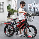 子供用自転車調節可能なシート 20インチ 男の子女の子 キッズバイクスポーツ カゴ付き 付きキック スタンド ハンド ブレーキ バスケット フェンダー 可変速度,赤,20 inches