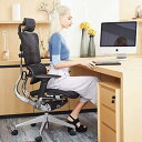オフィスチェア、オフィスデスクチェア、人間工学に基づいたホームオフィスチェア、メッシュファブリックオフィスチェアブラック|ハイバックデスクチェア|フットサポート...