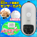 《セール期間クーポン配布》【送料無料】microSD式 セン...