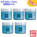【5個セット】東芝 デオドライザー 交換用エアリオン ジェル GEL-100SP [TOSHIBA GEL100SP 消臭器 脱臭 匂い消し 悪臭 ペットのトイ...