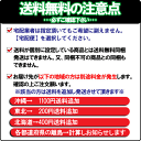 【送料無料】コンセント タイマー 消し忘れ防止 1回だけ「入/切」デジタルタイマーCT24D [タイマー付きコンセント 電気ストーブ/クリスマス/イルミネーション/照明/プログラム/電源/スイッチ/防犯グッズ 電灯 サーキュレーター 冬] リーベックス/タイマー コンセント 2