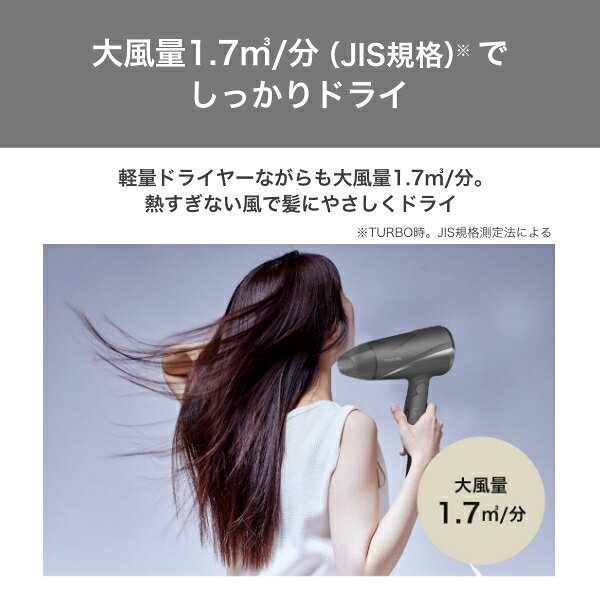 【送料無料】テスコム プロテクトイオン ヘアドライヤー TD360A ［グレー/ゴールド...