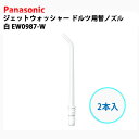 パナソニック ジェットウォッシャードルツ用 替ノズル（2本入） 白 EW0987-W [Panasonic パナソニック 歯ノズル 交換ノズル Doltz ドルツ 替えノズル 替ノズル 電動 ジェットウォッシャー ノズル]