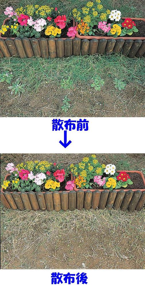 ＼本日P6倍!300円クーポン／ガーデニング 農業 草枯れちゃん 3kg人や地球にやさし...