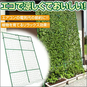 【ランキング1位獲得】緑のカーテン ガーデニング 農業資材グリーンカーテンでエコライフ♪ cg674 グリーンカーテン ガーデニング 節電 エコ 日除け ひよけ