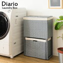 \300円OFFクーポン進呈/【ランキング1位受賞】収納家具 ランドリーボックス・バスケット 角型 ランドリーボックス Diario(ディアリオ) 二段式完成品...
