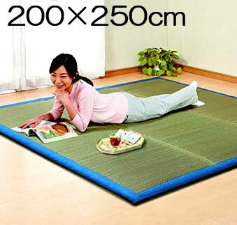 Rakuten - 【ランキング獲得】い草上敷ボリュームクッションラグ 200×250 カーペット マット 畳 ラグ 角型福岡県産い草使用！ふっくら仕上げ♪ うたたね いぐさ マット ラグ ふかふか カーペット リビング