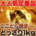 しっとり柔らか☆粒あんたっぷり♪【訳あり】もっちりミニどら焼きどっさり1kg!!個包装なので保存も安心♪おやつに! SM00010028 もっちりミニどら焼き どらやき 一口サイズ おやつ 大容量粒あん 和菓子 個包装