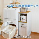 \300円OFFクーポン進呈/【ランキング1位受賞】収納家具 キッチン収納 キッチン隙間収納 ダストワゴン付きキッチンラック 1段 MUD-5900WSダストワ...