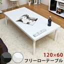 【ランキング1位獲得】フリーローテーブル 120×60 センターテーブル ローテーブル作業台、PCデスク、書斎にと利用方法は無限大! tz12060 TZ-12...