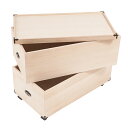【ランキング獲得】 総桐雛人形収納ケース2段 高さ63.5cmタイプ 収納家具 タンス チェスト完成品 クローゼットに収納可能な雛人形収納ケース GB-0014...