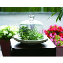\300円OFFクーポン進呈/ガーデニング・農業 植木鉢・プランター プランター ローマンテラコッタ ガラス付きオブジェ タイプ82670 ローマンテラコッタ ...