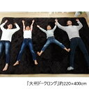 ＼300円OFFクーポン配布／ ラグ 『大判ドークロング』約220×400cm カーペット・マット・ラグ 角型6026219 リビング カーペット 動画あり