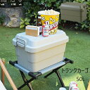 トランクカーゴ 50L エクステリア・ガーデンファニチャー ガーデンボックスTC-50 キャンプ アウトドア 収納 カー用品 ファイル収納 マルチ 蓋つき