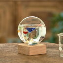 \スーパーSALE限定特価/温度計・湿度計 ガラスフロート温度計 ドーム Fun Science333-209 プレゼント お祝い 置物 オブジェ インテリア ...