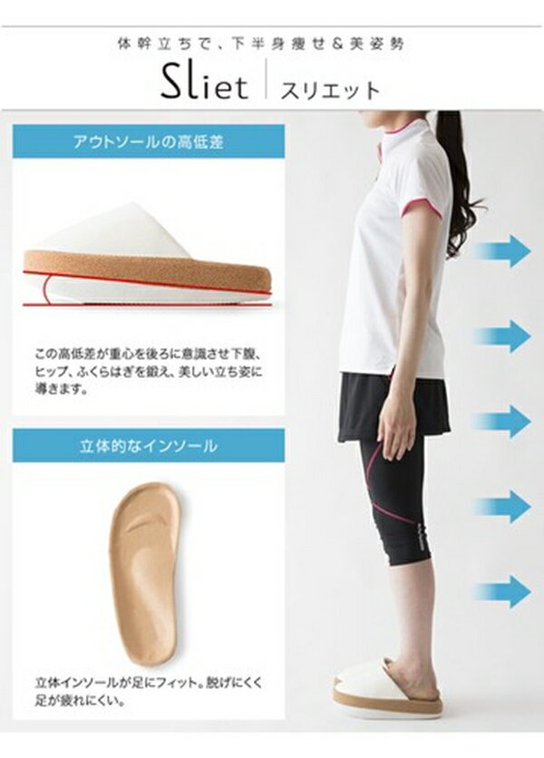 断食回復食スペシャルセット3日分＋青パパイヤー酵素食品6袋付（説明書付）【断食】【ファスティング】※送料無料（一部地域を除く）