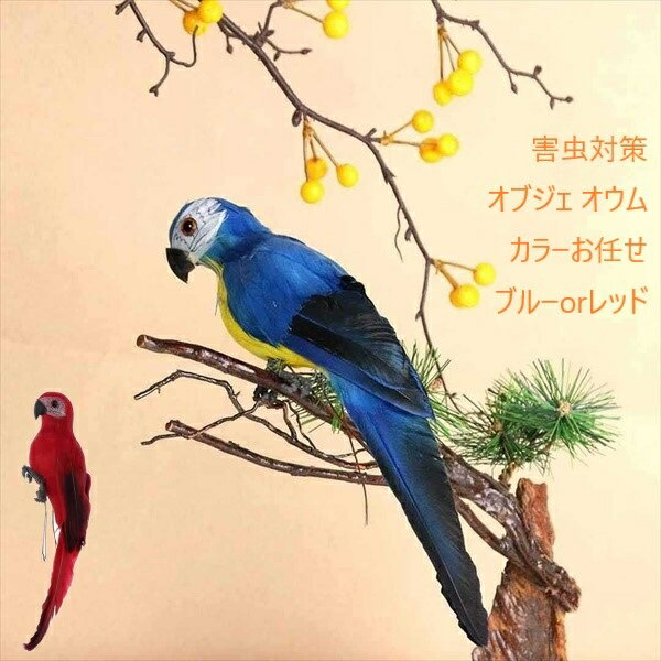 害虫対策 オブジェ オウム カラーお任せ（ブルーorレッド） ガーデニング・農業 防鳥・防獣用品 害獣対策器・装置20220908-5 害虫対策 オウム オブジェ ブルー レッド 虫よけ 鸚鵡 置物