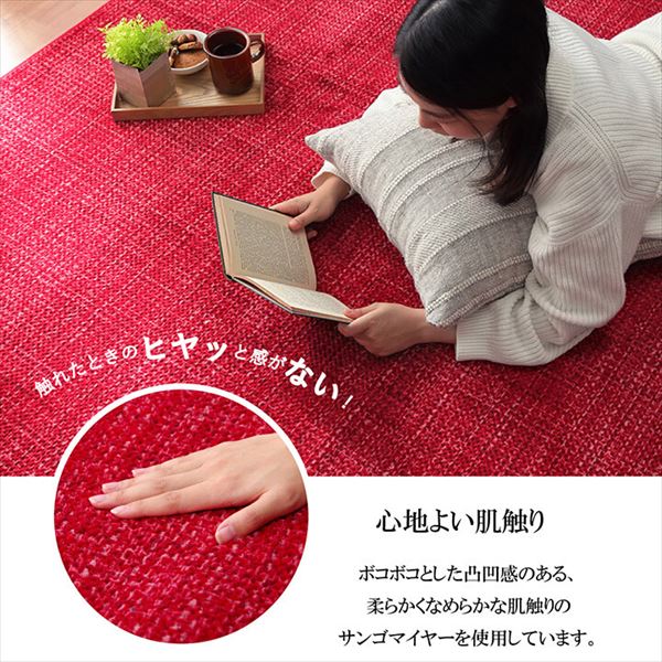 ラグ 珊瑚マイヤ 洗える 滑りにくい 『ノート』90×185cm カーペット マット カーペット ラグ5705359/5705309/5705409/5705509/5705459/5705559 無地 シンプル ポコポコ 凹凸 なめらか 滑りにくい加工 毛足が短い お掃除が簡単 床暖房 ホットカーペット [2]
