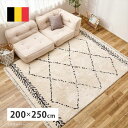 ベルギー製 ウィルトンラグ BOHO 200×250cm カーペット マット 畳 カーペット ラグ240650302 ベニワレン風のおしゃれなウィルトンラグ 萩原