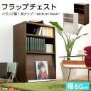 収納家具「DEALS ディールズ」フラップ扉1枚タイプ 収納家具 本棚 ラック カラーボックス ウォールシェルフDS60-F1 ディスプレイラックシリーズ 本棚 ブックラック フラップ フラップチェスト