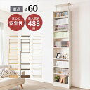 突っ張り壁面収納ラック 幅60cm 収納家具 本棚 ラック カラーボックス オープンラックRCC-1559 突っ張り壁面収納ラック 収納 大容量 収納 ラック ...