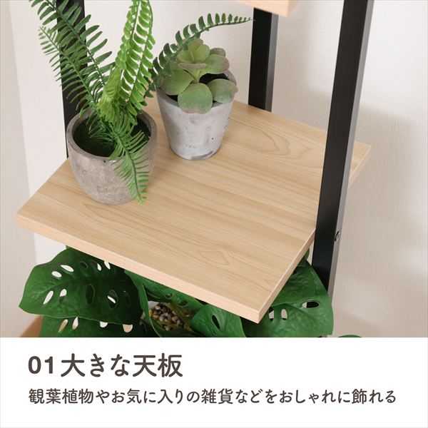 ディスプレイスタンド スリム 収納家具 本棚・ラック・カラーボックス オープンラック63765 63766 観葉植物 おしゃれ ディスプレイ ラック スチール インテリア 雑貨 飾る 間仕切り 収納 見せる収納 オープンラック [2]