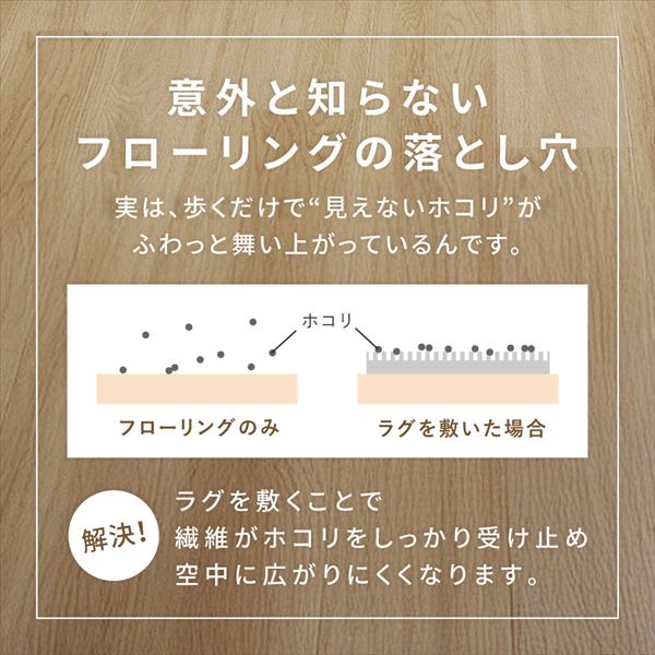 ダイニングラグ モニカ 220×250cm カーペット マット 畳 カーペット ラグ350127701 350127711 ダイニングラグ モニカ 約220×250cm 防ダニ 抗菌 防臭 防汚 はっ水 撥水 ホットカーペット対応 床暖房対応 タフトラグ カーペット 萩原 [3]