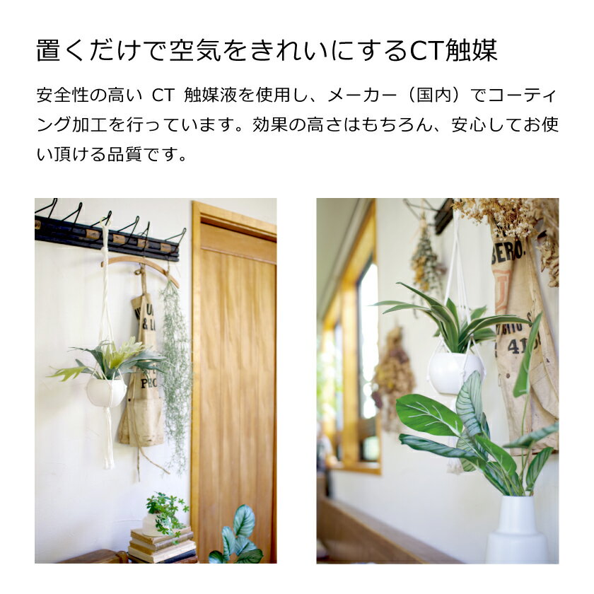 ������ �����ꥢ �ý������ƥ��ե�����륰�꡼�� �ޥ���� �ϥ󥮥� �͹����տ�ʪ CT���� �ե��������꡼�� �ɳݤ� �ߤ겼��