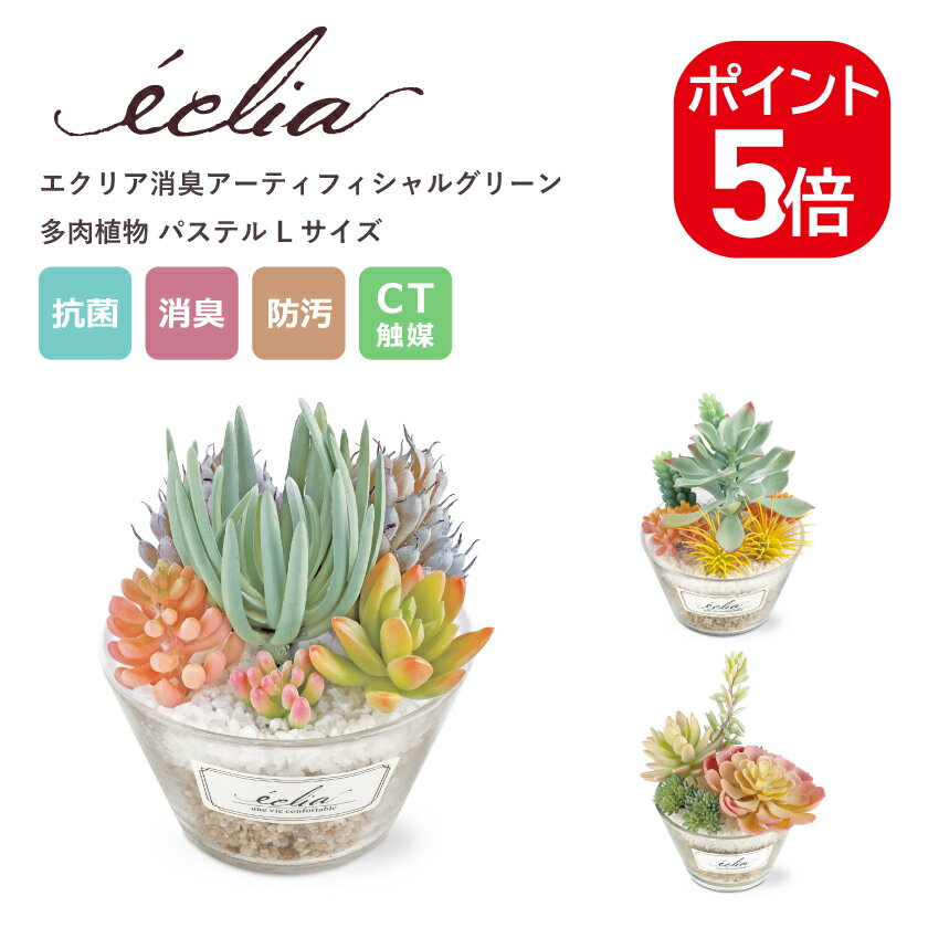 Rakuten - キシマ エクリア 消臭アーティフィシャルグリーン 多肉植物 パステル Lサイズ KH-61183 KH-61184 KH-61185 人工観葉植物 CT触媒 フェイクグリーン
