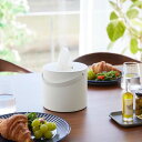 山崎実業 ハンドル付きティッシュケース タワー ホワイト 4903208017039 【品番:01703】