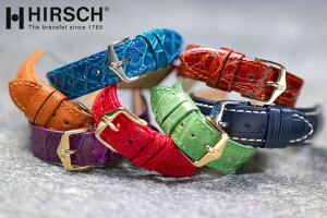 HIRSCHヒルシュAYRTON(アイルトン)Lサイズのみ腕時計ベルトカーフ(カーボン調型押し)カウチューク(天然ゴム)20mm/22mm/24mm