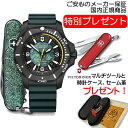 ビクトリノックス ビジネス腕時計 メンズ 【あす楽】 VICTORINOX ビクトリノックス 腕時計 I.N.O.X. イノックス プロフェッショナルダイバー リミテッドエディション ブラック 241957.1 ストラップつき 【日本正規品 保証書付】