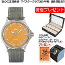 ジン 腕時計（メンズ） SINN 556.CY 世界限定400本 Citrine Yellow（シトリンイエロー） 腕時計 【優美堂 特別プレゼントつき！】