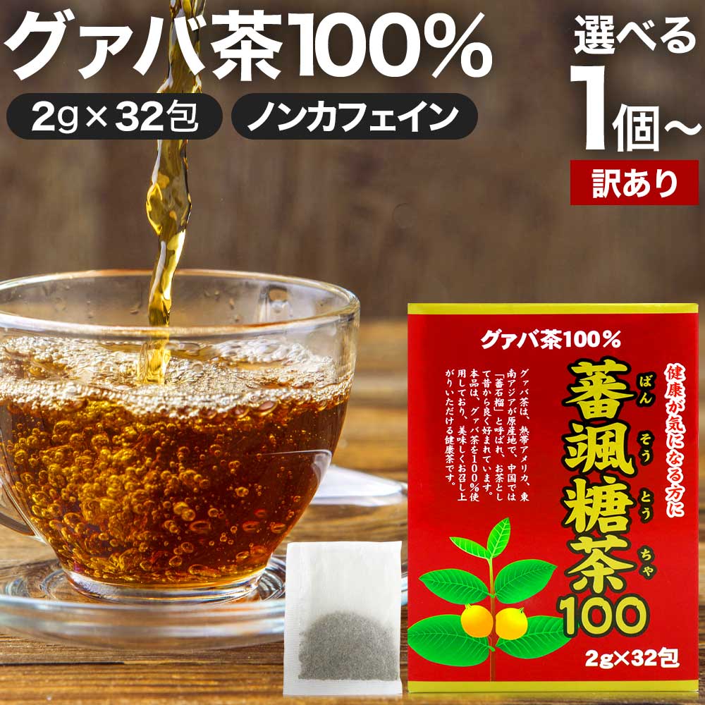 【訳あり】 蕃颯糖茶100 2g×32包 賞味期限2024年7月以降 送料無料 宅配便 | グァバ グァバ茶 グアバ グアバ茶 ガバ茶 ガバちゃ 茶葉 ティーパック ティーバッグ ダイエット ダイエット食品 食べすぎ 無添加 100％ ノンカフェイン カフェインなし アウトレット