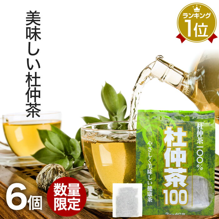 【訳あり】 杜仲茶100袋タイプ 3g×40包×6個セット 賞味期限2021年3月以降 送料無料 宅配便 | 杜仲茶 とちゅう茶 茶葉 ティーパック ティーバッグ ダイエット ダイエット食品 デトックス 無添加 100％ ノンカフェイン カフェインレス デカフェ アウトレット まとめ買い