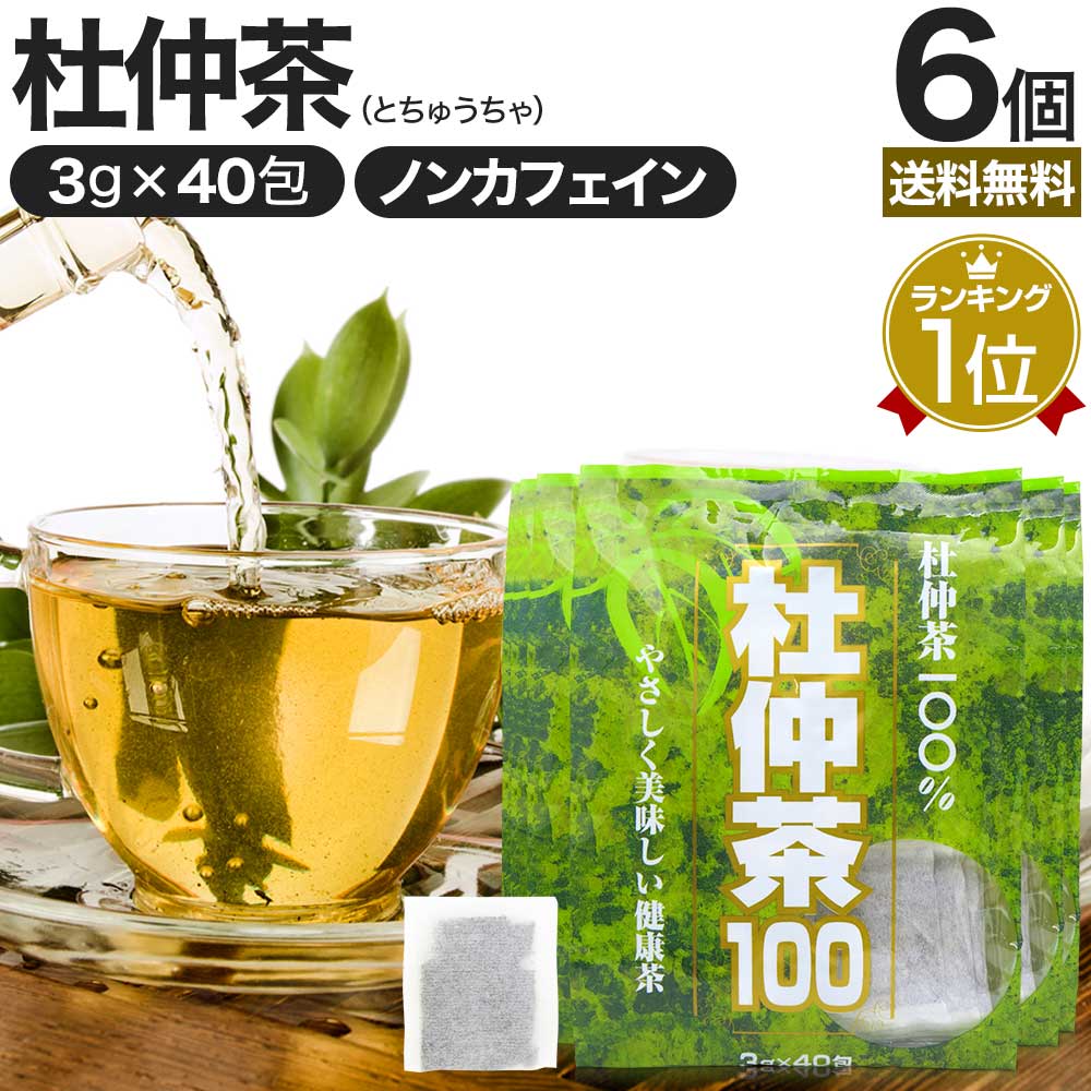 杜仲茶100袋タイプ 3g×40包×6個セット 送料無料 宅配便 | 杜仲茶 とちゅう茶 茶葉 ティーパック ティー..