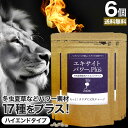 エキサイトパワープラス 240粒×6個セット 約180日分 送料無料 メール便 | マカ maka マカサプリ 妊活 冬虫夏草 シトルリン トンカットアリ ムク...