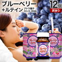 【訳あり】 ブルーベリー+ルテイン粒 60球×12個セット 約360日分 賞味期限2026年9月以降 送料無料 宅配便 | ルテイン ビルベリー ブルーベリー ...