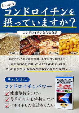 【訳あり】 コンドロイチンパワー 300粒×12個セット 約360日分 賞味期限2020年4月以降 送料無料 宅配便 | コンドロイチン 2型コラーゲン グルコサミン カルシウム calcium サメ 鮫 軟骨 エキス アクティブ サプリ サプリメント 粒 タブレット アウトレット まとめ買い