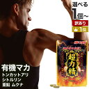 【訳あり】 超力精 (40カプセル) 40カプセル 約20日分 賞味期限2026年2月以降 送料無料 メール便 | マカ maka マカサプリメント マカサプリ シトルリン トンカットアリ ムクナ 亜鉛 酵母 亜鉛サプリ サプリ サプリメント 男性 女性 有機マカ 有機マカ粒 有機 アウトレット