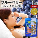 【訳あり】 ブルーベリー+ルテイン 40球 約20~40日分 賞味期限2027年3月のみ 送料無料 メール便 | ルテイン ビルベリー ブルーベリー アントシアニン カシス エキス DHA オメガ3 オメガ3脂肪酸 omega3 サプリ サプリメント 粒 タブレット 男性 女性 アウトレット