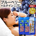 【訳あり】 ブルーベリー+ルテイン 40球×2個セット 約40~80日分 賞味期限2027年3月のみ 送料無料 メール便 | ルテイン ビルベリー ブルーベリー アントシアニン カシス エキス DHA オメガ3 omega3 サプリ サプリメント 粒 男性 女性 アウトレット まとめ買い