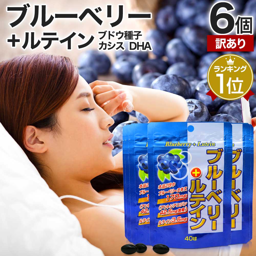  ֥롼٥꡼ܥƥ 406ĥå 120240ʬ ̣2026ǯ2Τ ̵ ᡼ | ƥ ӥ٥꡼ ֥롼...