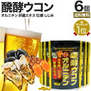 醗酵ウコン＋オルニチン 180粒×6個セット 約132～180日分 送料無料 メール便 | ウコン うこん 秋ウコン ウコン粒 発酵ウコン クルクミン しじみ かき 牡蠣 豚 肝臓 加水分解物 エキス 醗酵 発酵 食品 サプリ サプリメント まとめ買い