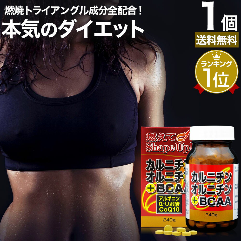 カルニチン・オルニチン＋BCAA 240粒 約30～40日分 送料無料 宅配便 | ダイエット サプ ...