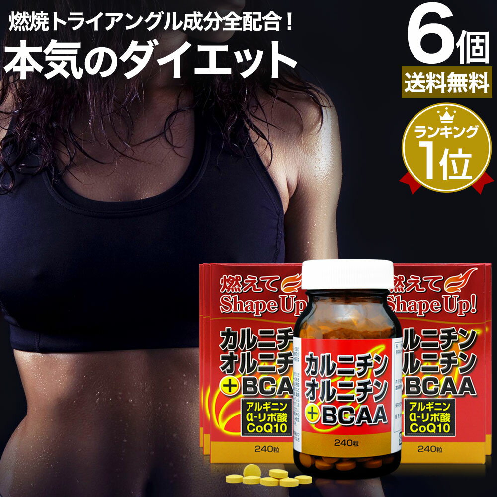 カルニチン・オルニチン＋BCAA 240粒