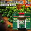  DX 1,000γ3ĥå 99198ʬ ̣2024ǯ7Τ ̵  |  饵ץ ˦˺ chlorella CGF 100% 100  ̵ź ץ γ  饵ץ ȥå ޤȤ㤤